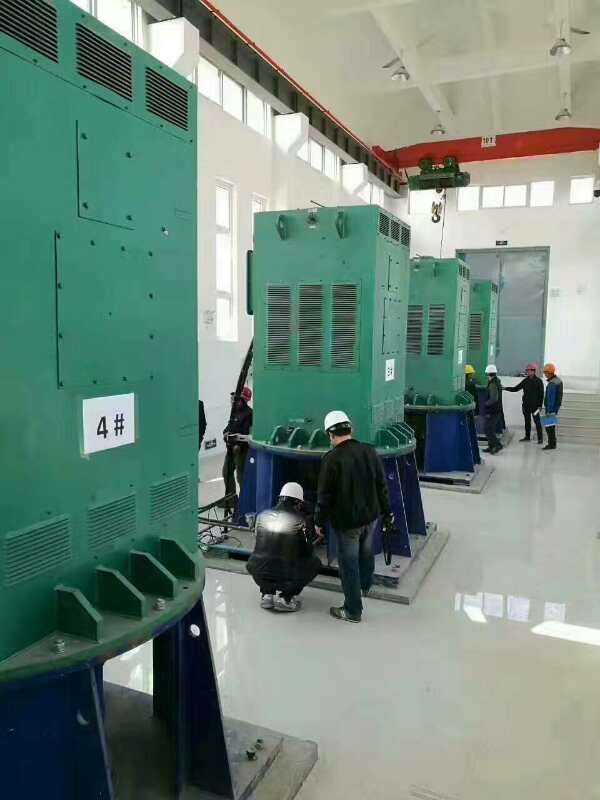 YKK5001-12/220KW某污水处理厂使用我厂的立式高压电机安装现场