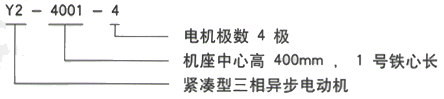 YR系列(H355-1000)高压YKK5001-12/220KW三相异步电机西安西玛电机型号说明